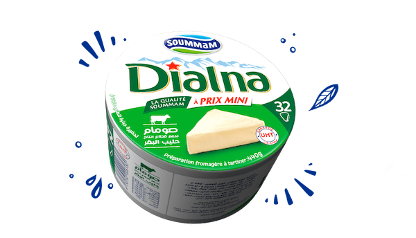 DIALNA-32-PORTIONS-600-600