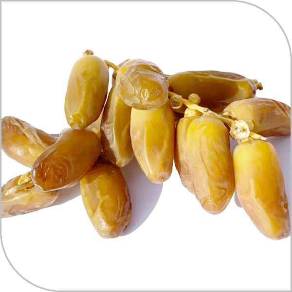 forme-produit-dattes-branchees