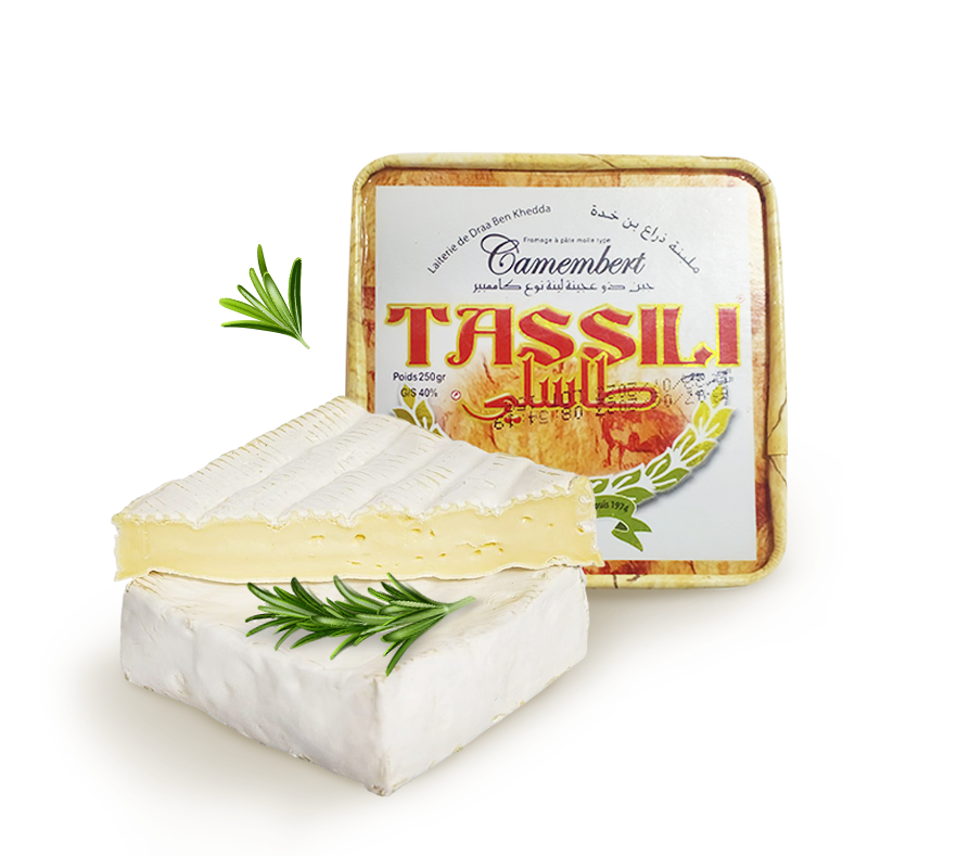 tassili_camembert_carre_250gr